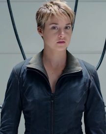 Insurgent 2015 Movie Shailene Woodley Jackets