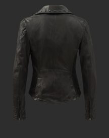 MISS KATE BLOUSON LIMITED EDITION jacket