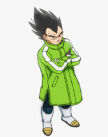 Vegeta Dragon Ball Z Sab Jacket Vegeta Dragon Ball Z Sab Jacket