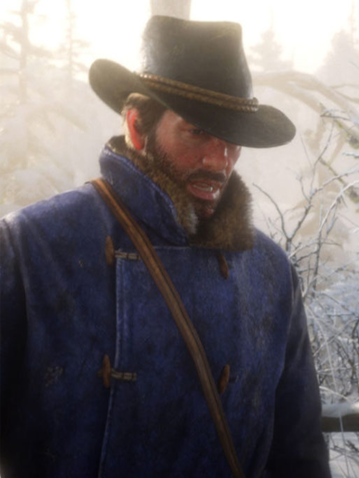 Arthur Morgan Red Dead Redemption Blue Coat