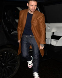 Liam Payne Street Brown Coat