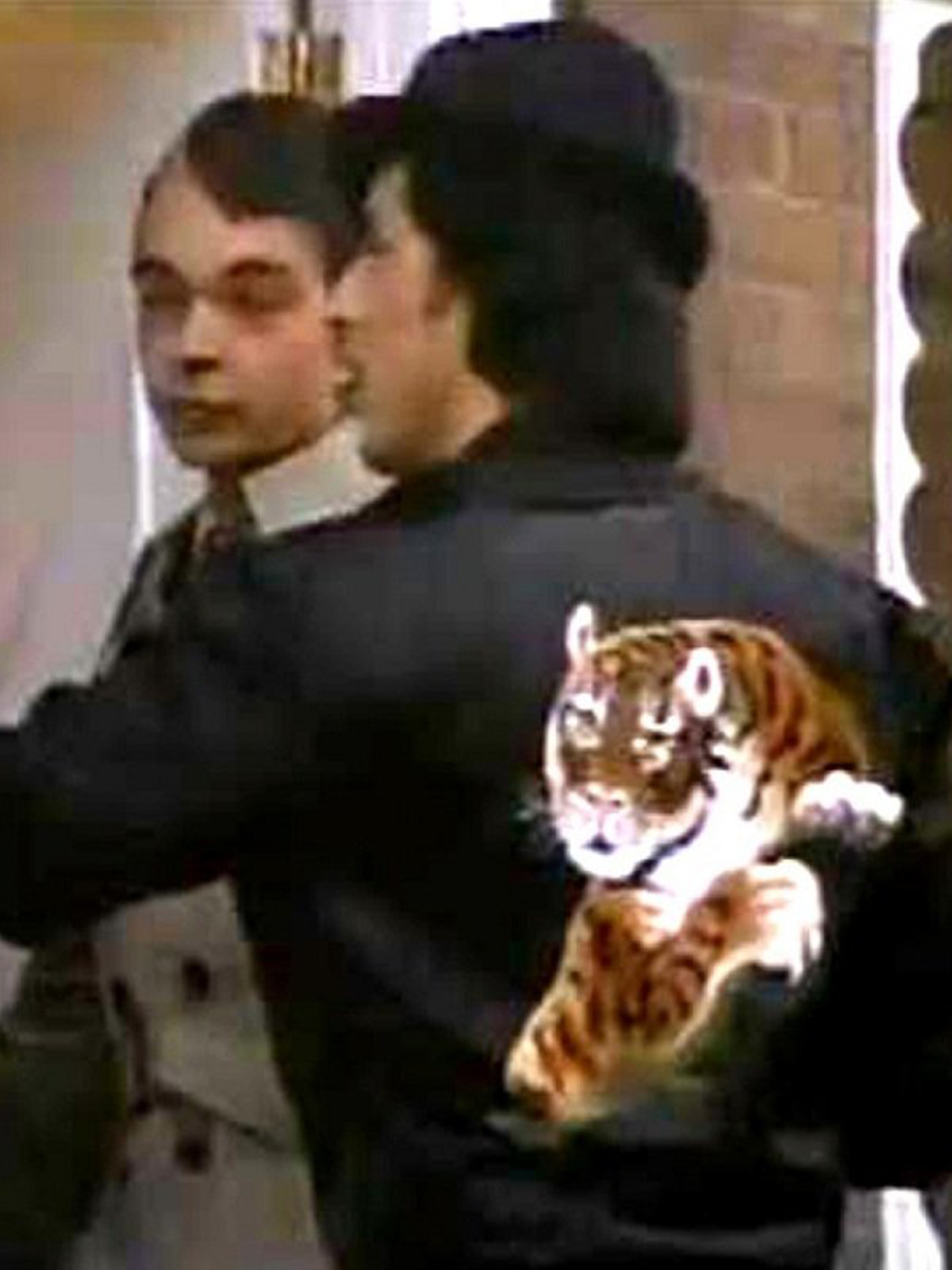 Rocky 2 Stallone Tiger Jacket
