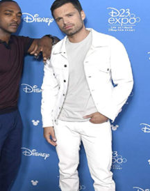 The Falcon and the Winter Soldier Sebastian Stan Cotton Coat