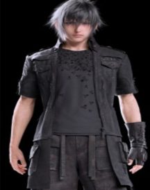 Noctis Lucis Caelum Final 15 Coat