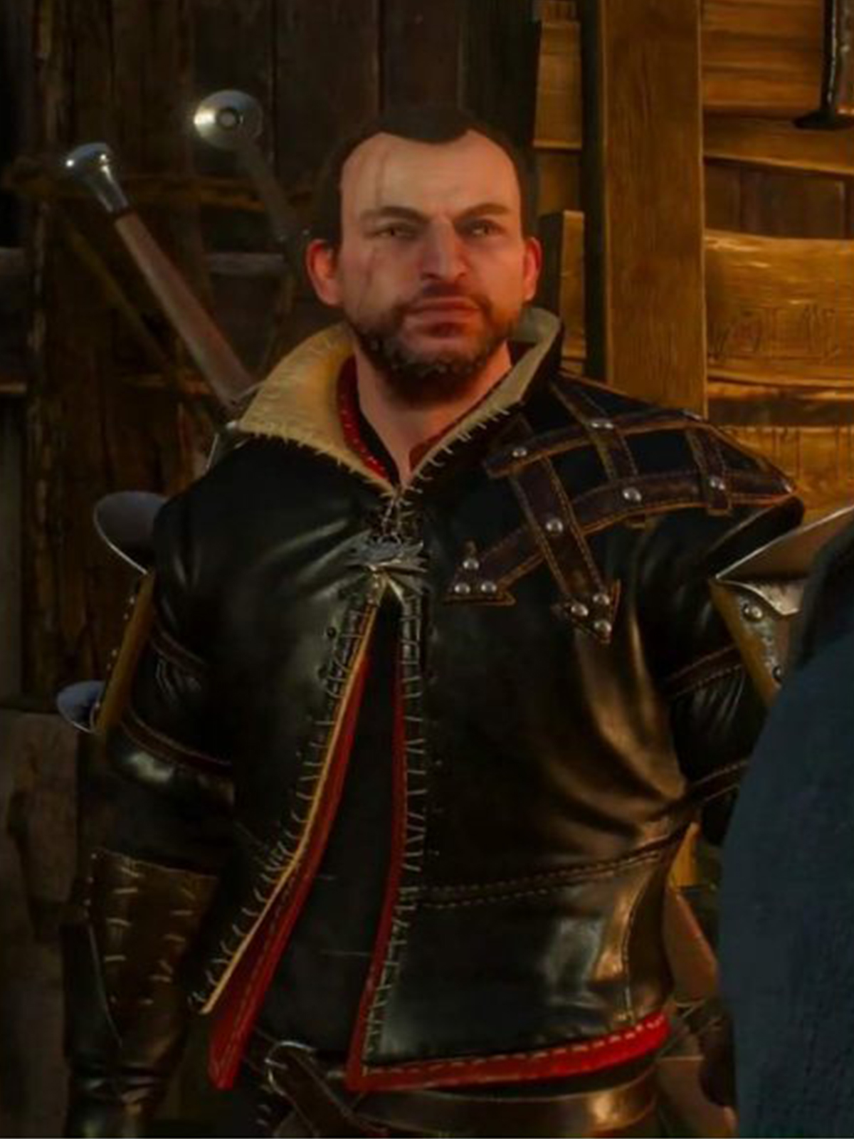 The Witcher 3 lambert jacket