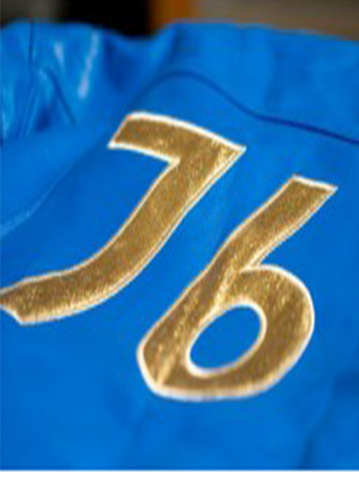 Vault Fallout 76 Leather Jacket