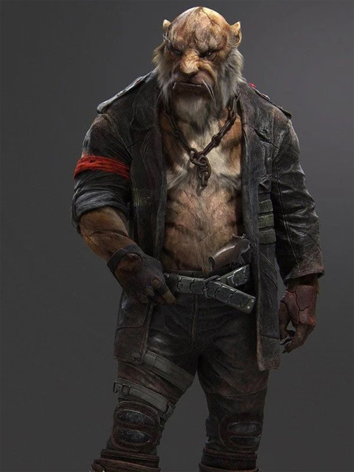 Beyond Good and Evil 2 Coat