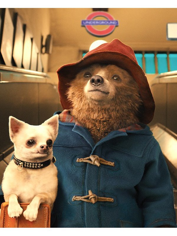 Paddington-Bear-Blue-Wool-Hooded-Toggle-Coat